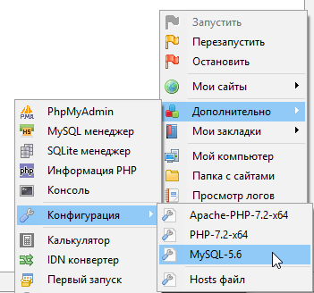 Настройки Open Server Panel